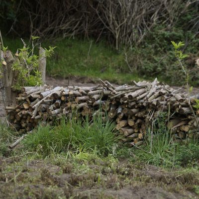 Leña