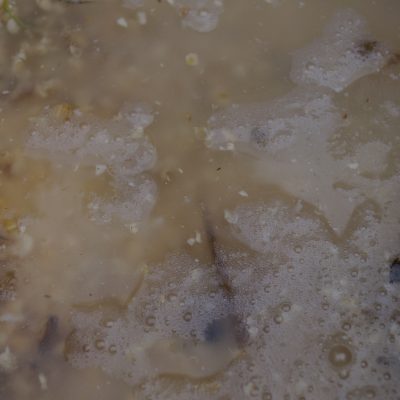 Proceso de fermentación