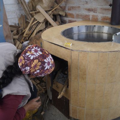 Leña como combustible