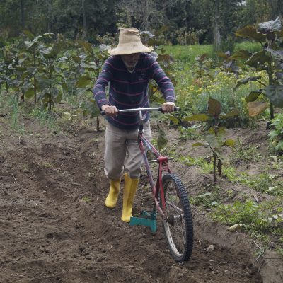 Huachadora por tracción humana