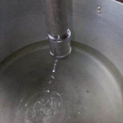 Extracción de aceite esencial de romero