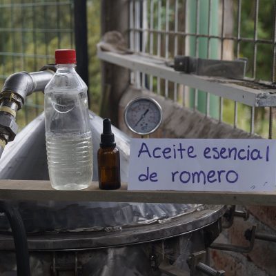 Aceite esencial de romero