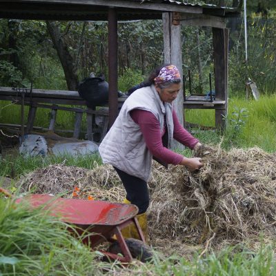 Tapando desechos orgánicos para compostaje