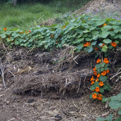Compost