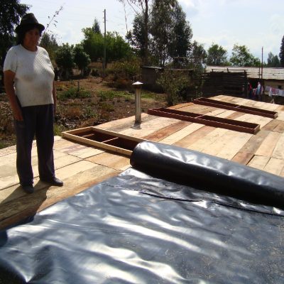 Construcción de techo verde