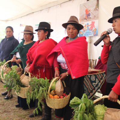 participacion mujer 2