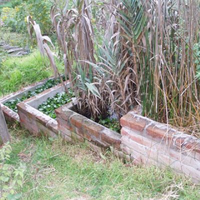 Reciclador de aguas grises