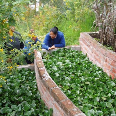 Reciclador de aguas grises