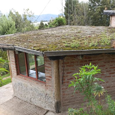 Techo verde
